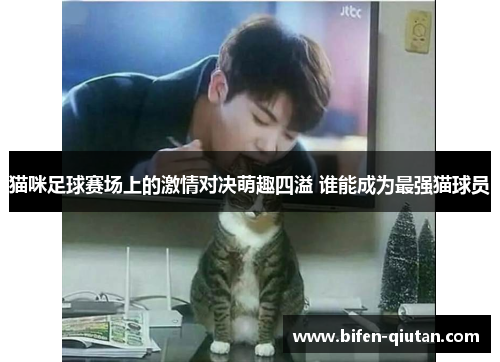 猫咪足球赛场上的激情对决萌趣四溢 谁能成为最强猫球员